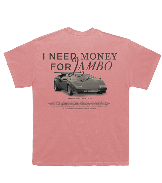 I NEED MONEY FOR LAMBO - PINK